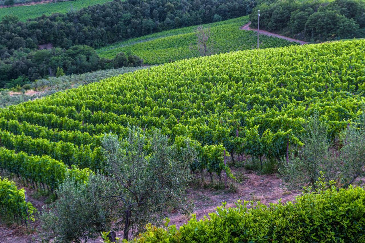 Agriturismo Concadoro Villa Castellina in Chianti Exterior photo